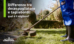 cover maggio